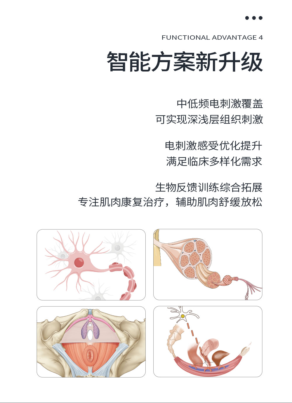 中文字幕无码人妻少妇免费视频